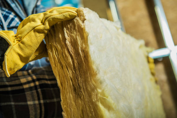 Best Insulation Installation Services in Lincoln, IL